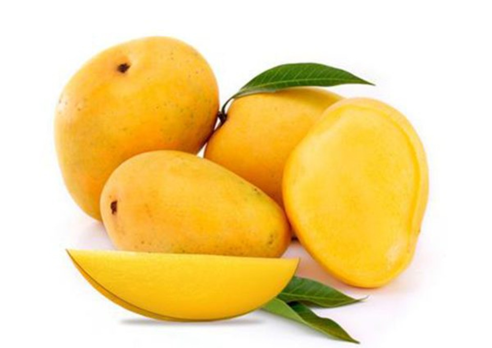 dosari-mango-600x600-1679998062625